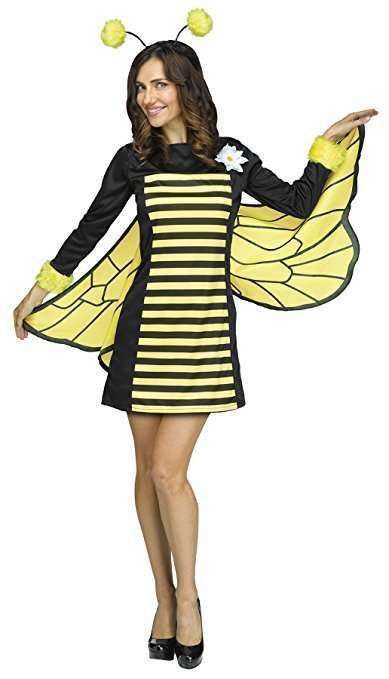 Fun World Women's Bee My Honey Costume