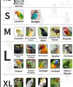 YANQIN Bird Costume Diaper Flight Suit Bee Shape Clothes Cosplay Photo Prop for Parrots Lovebird Budgie Parakeet Cockatiel Sun Conure 2