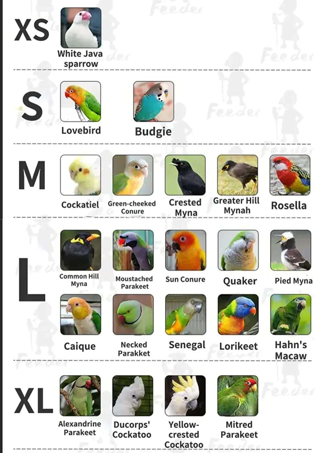 YANQIN Bird Costume Diaper Flight Suit Bee Shape Clothes Cosplay Photo Prop for Parrots Lovebird Budgie Parakeet Cockatiel Sun Conure 2