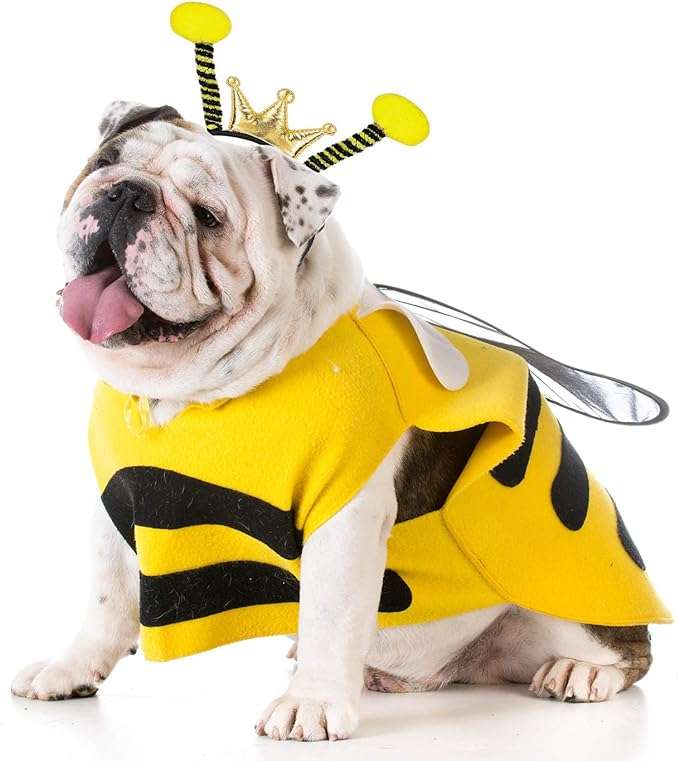 Funnlot Bee Headbands, 2PCS Bee Antenna Headband Bee Costume Accessories Insect Hair Address Bee Ant Ladybug Hair Band Kids Adult Halloween Cosplay Bee Birthday Party Favors - 7