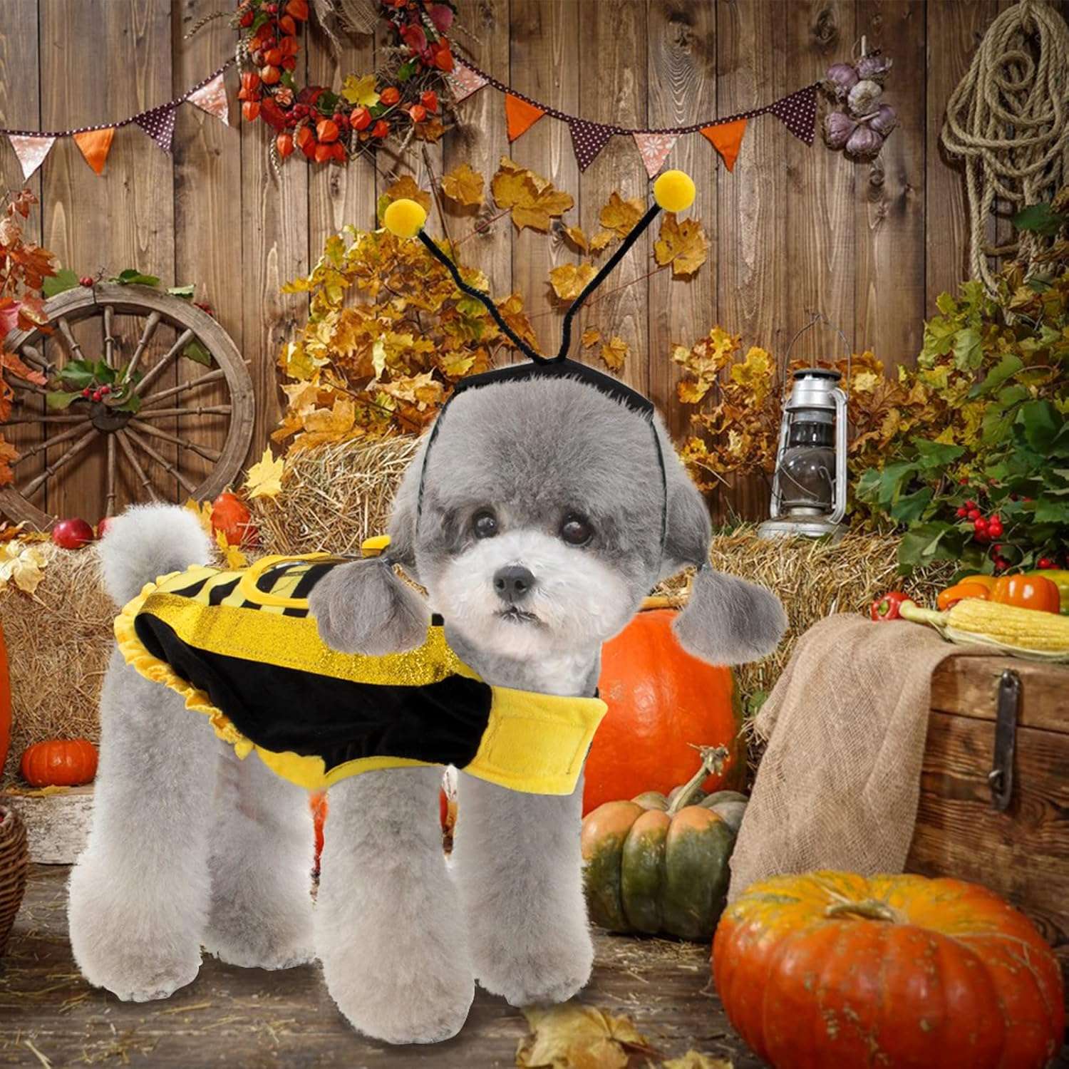 Dog Bee Costume Halloween Costumes for Dogs Pet Bee Costume, Halloween Bee Dog Costume Pet Bumblebee Costume, Dog Bumblebee Costume Pet Halloween Costumes with Cap for Small Medium Large Dogs Cats - Image 7