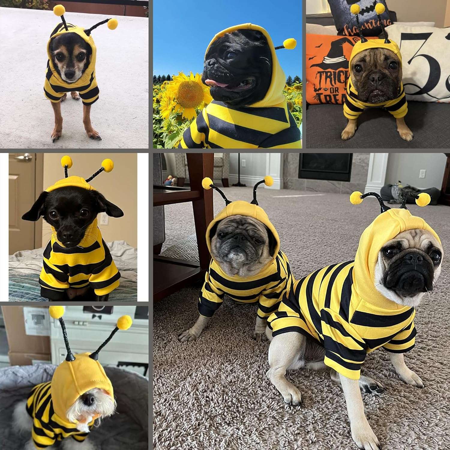 Dog Bee Costume Outfit Bumblebee Hoodie Cat Clothes Funny Dog Hooded Coat for Pet Small Medium Dogs Puppy Chihuahua Yorkie Halloween Party Cosplay, Black and Yellow - 4