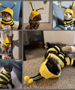 Dog Bee Costume Outfit Bumblebee Hoodie Cat Clothes Funny Dog Hooded Coat for Pet Small Medium Dogs Puppy Chihuahua Yorkie Halloween Party Cosplay, Black and Yellow - 5