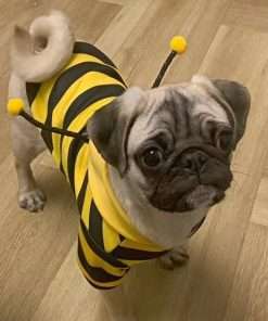 Funny Dog Hoodies Sweatshirt Holiday Cat Sweater Warm Dog Clothes for Small Dog Yellow Cat Outfit Puppy Hooded Coat Pet Bee Costume for Halloween Christmas - 5