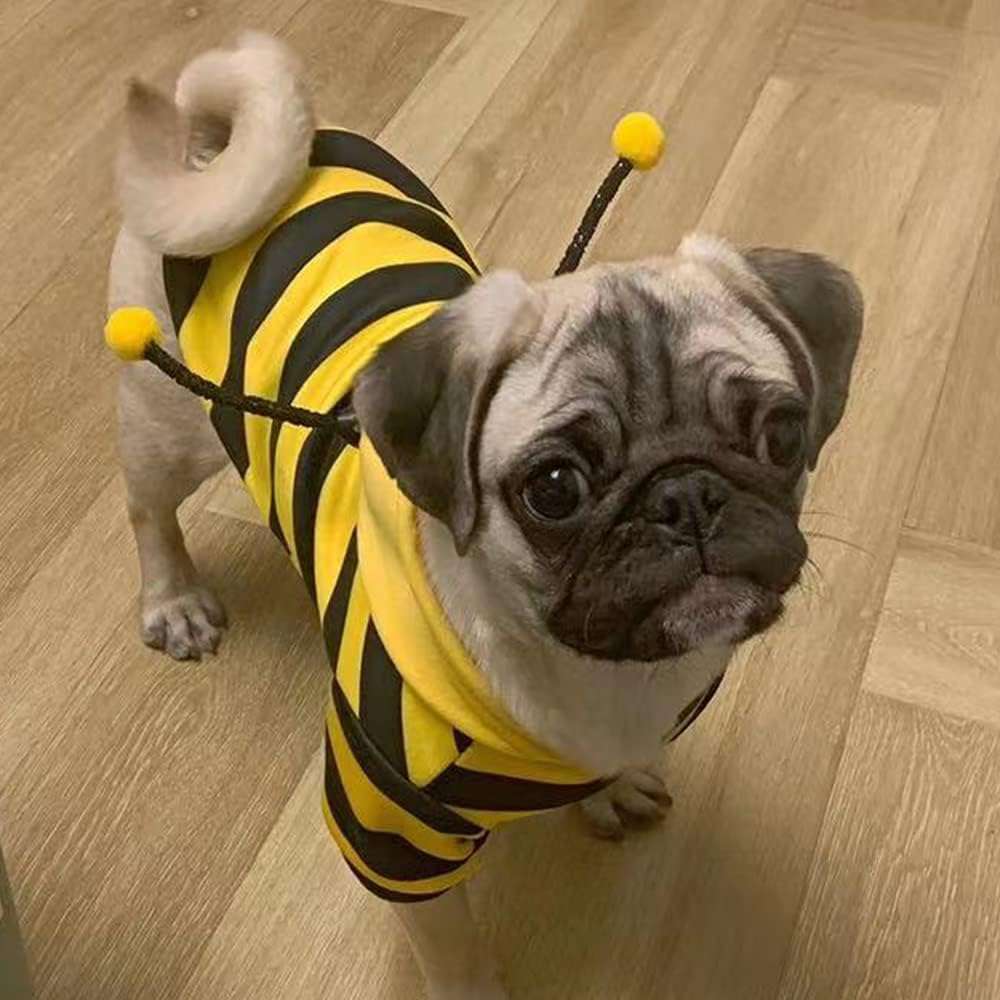 Funny Dog Hoodies Sweatshirt Holiday Cat Sweater Warm Dog Clothes for Small Dog Yellow Cat Outfit Puppy Hooded Coat Pet Bee Costume for Halloween Christmas - 5