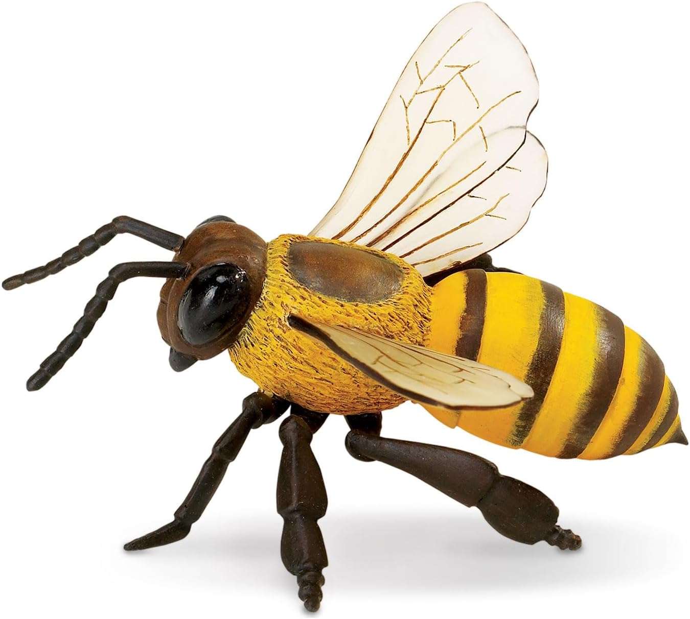 Safari Ltd. Honey Bee Figurine - Lifelike 5.5 Model Figure - Educational Toy for Boys, Girls, and Kids Ages 3Y+ - 4