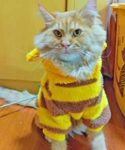 ANIAC Fleece Dog Hoodies with D-Ring Autumn Winter Puppy Clothes for Small Dog Bumblebee Cat Apparel Cold Weather Coat Funny Bee Costume for Christmas Halloween - 4