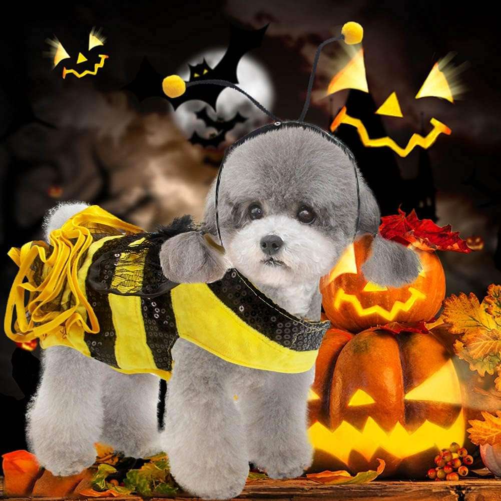 Bee Dog Costume - Bumblebee Dress for Small & Medium Dogs & Cats - Funny Halloween Outfit with Cap - 2