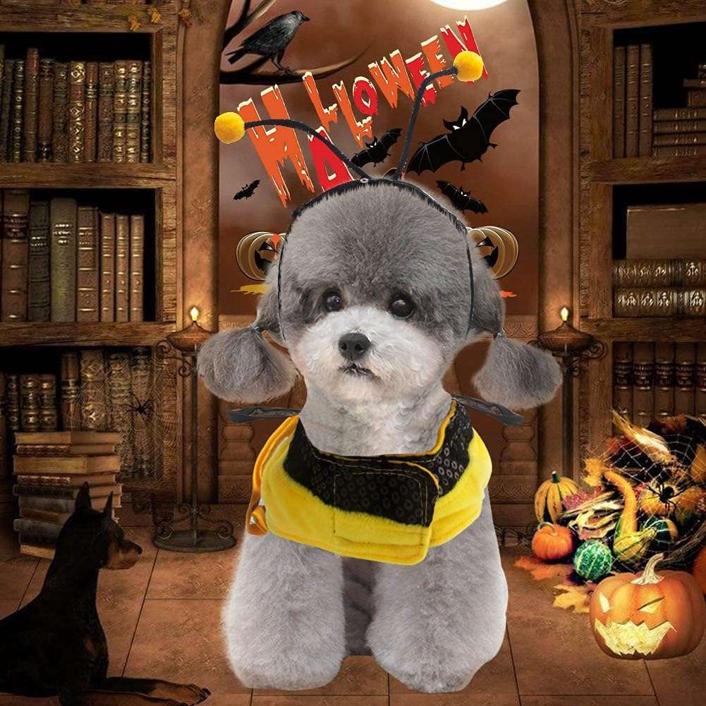 Bee Dog Costume - Bumblebee Dress for Small & Medium Dogs & Cats - Funny Halloween Outfit with Cap - 6
