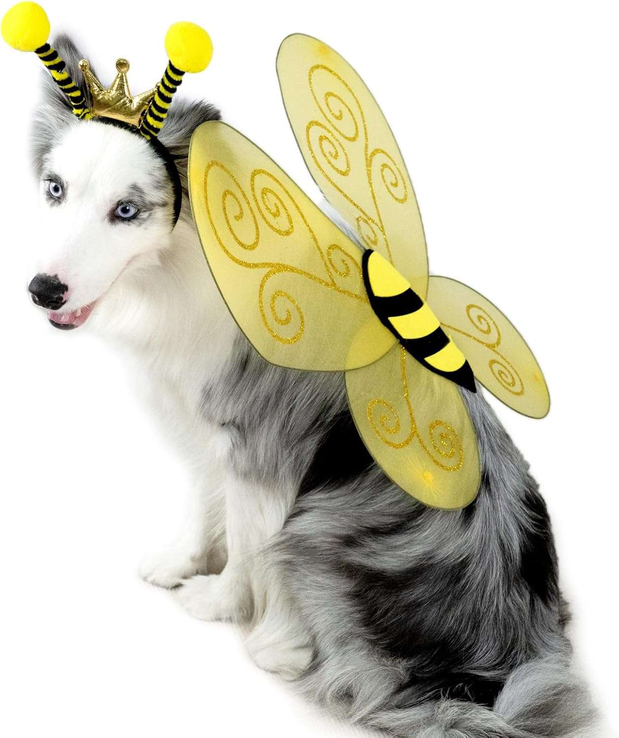 Bee Dog Headband and Wings Costume Set, Bee Wings Headband Accessories for Large Dog Halloween Christmas Birthday Festival Party Cosplay - 2