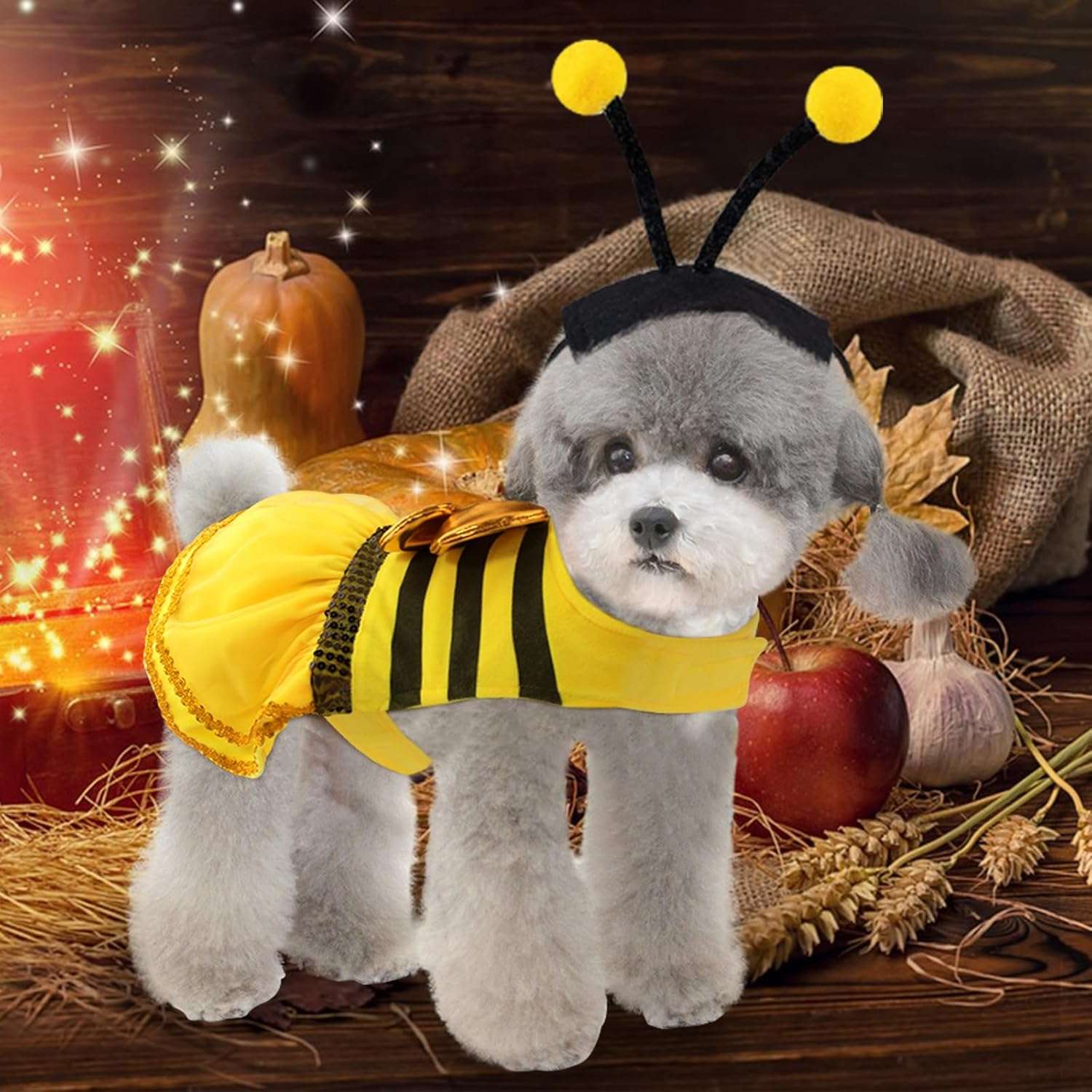 Dog Bee Costume Dog Halloween Costume, Bumble Bee Dog Costume Pet Costumes for Small Medium Dogs Puppy Cats, Dog Costumes Dress Dog Cosplay Party Clothes Outfit - 6
