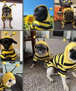 Dog Bee Costume Outfit Bumblebee Hoodie Cat Clothes Funny Dog Hooded Coat for Pet Small Medium Dogs Puppy Chihuahua Yorkie Halloween Party Cosplay, Black and Yellow - 4