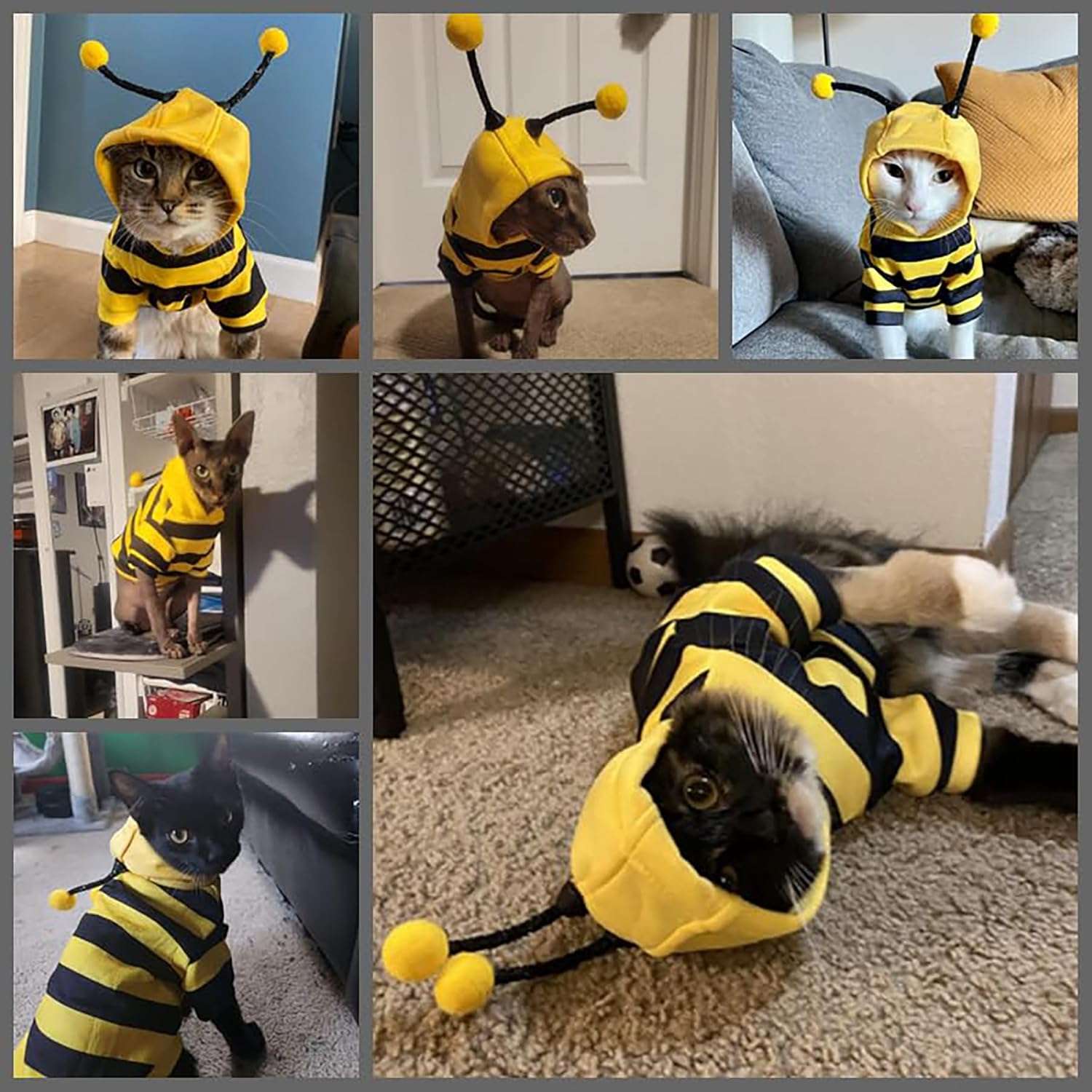 Dog Bee Costume Outfit Bumblebee Hoodie Cat Clothes Funny Dog Hooded Coat for Pet Small Medium Dogs Puppy Chihuahua Yorkie Halloween Party Cosplay, Black and Yellow - 5