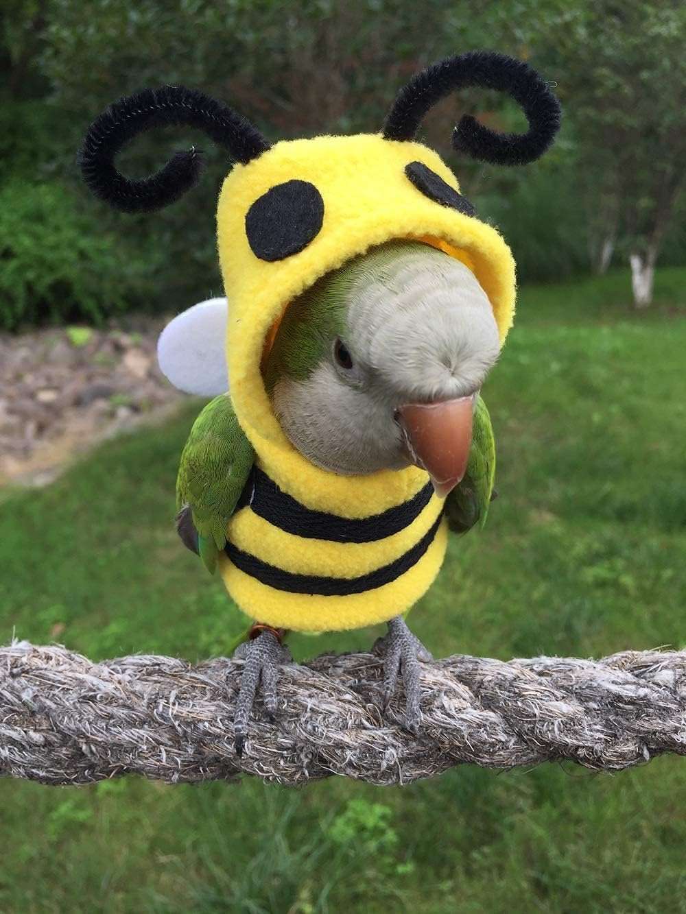 Bird Clothes Birds Flight Suit, Cute Bee Costume Hoodie for Parrots African Greys Parakeet Cockatiel Sun Conure Christmas Party Birthday Cosplay Photo Prop Small Animals Apparel - 2