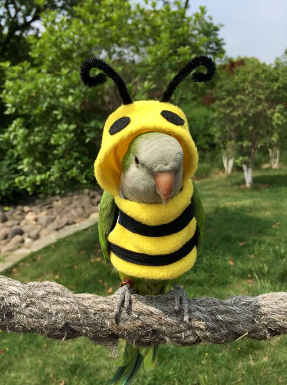 Bird Clothes Birds Flight Suit, Cute Bee Costume Hoodie for Parrots African Greys Parakeet Cockatiel Sun Conure Christmas Party Birthday Cosplay Photo Prop Small Animals Apparel - 3