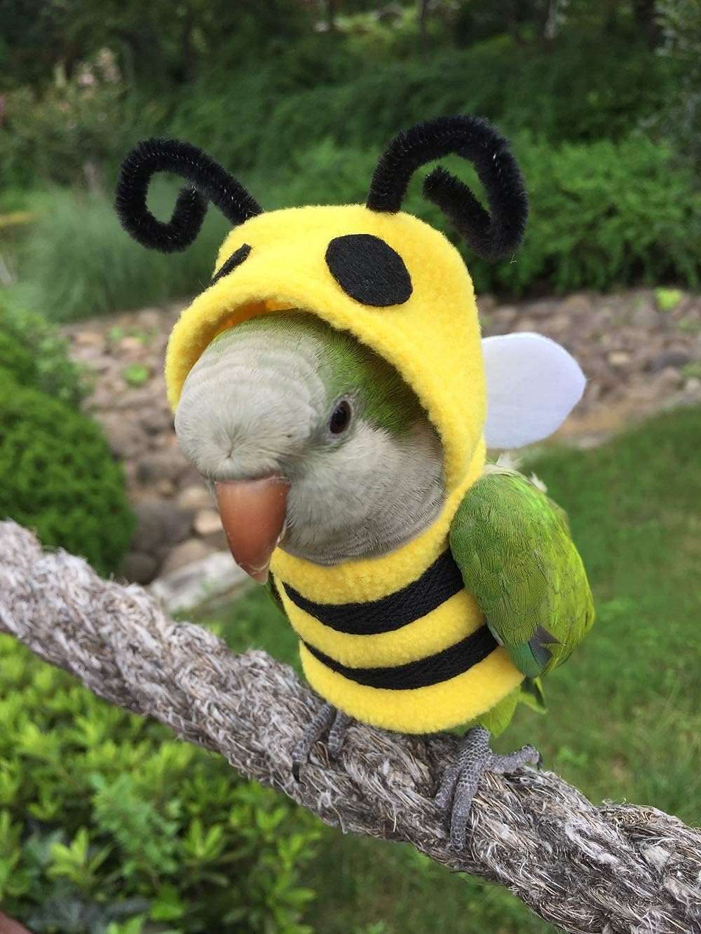 Bird Clothes Birds Flight Suit, Cute Bee Costume Hoodie for Parrots African Greys Parakeet Cockatiel Sun Conure Christmas Party Birthday Cosplay Photo Prop Small Animals Apparel - 4