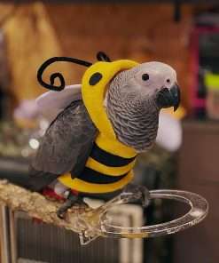 Bird Clothes Birds Flight Suit, Cute Bee Costume Hoodie for Parrots African Greys Parakeet Cockatiel Sun Conure Christmas Party Birthday Cosplay Photo Prop Small Animals Apparel - 5