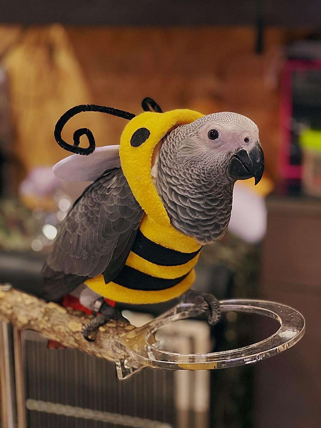 Bird Clothes Birds Flight Suit, Cute Bee Costume Hoodie for Parrots African Greys Parakeet Cockatiel Sun Conure Christmas Party Birthday Cosplay Photo Prop Small Animals Apparel - 5