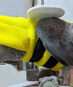 Bird Clothes Birds Flight Suit, Cute Bee Costume Hoodie for Parrots African Greys Parakeet Cockatiel Sun Conure Christmas Party Birthday Cosplay Photo Prop Small Animals Apparel - 8