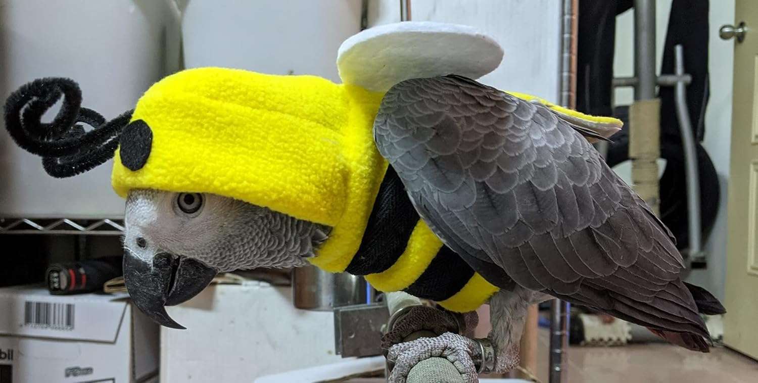 Bird Clothes Birds Flight Suit, Cute Bee Costume Hoodie for Parrots African Greys Parakeet Cockatiel Sun Conure Christmas Party Birthday Cosplay Photo Prop Small Animals Apparel - 8