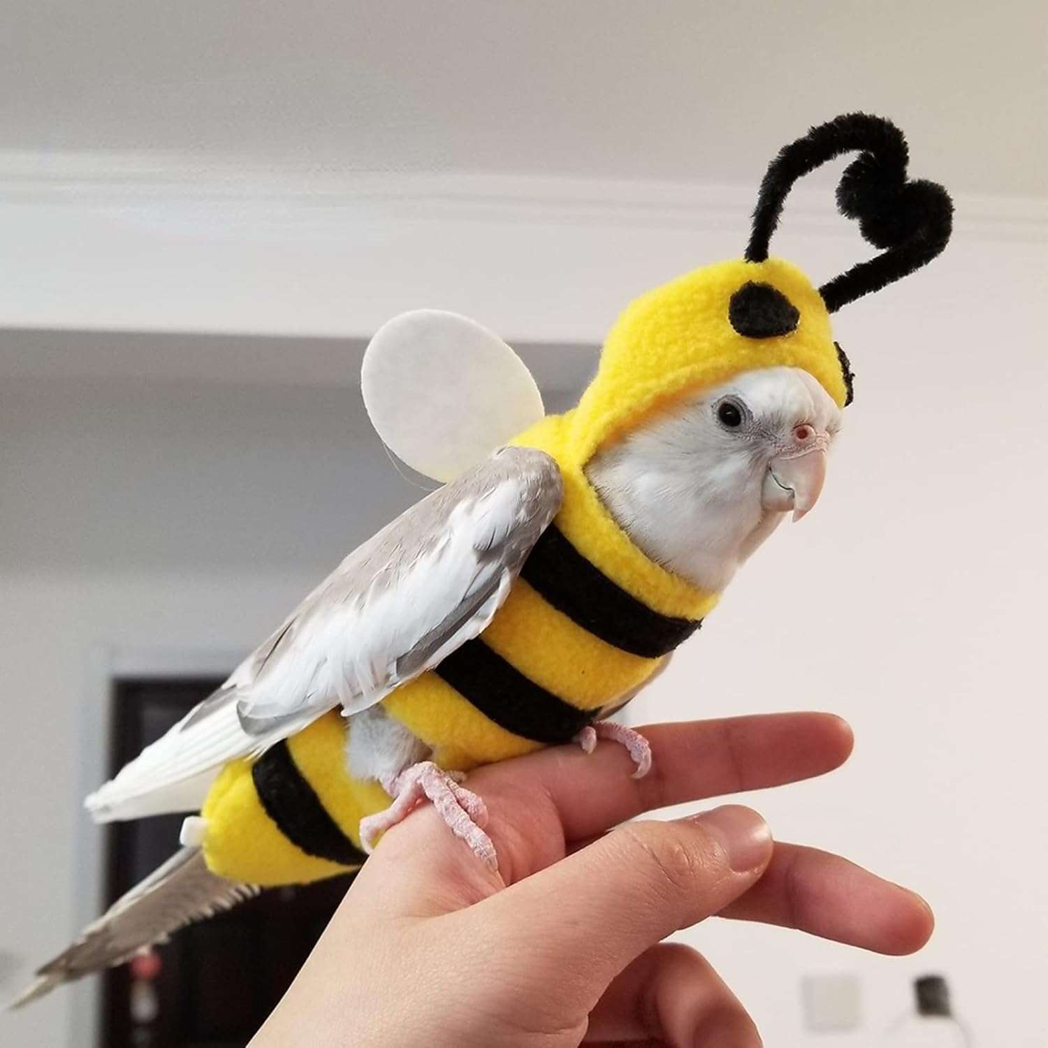 Bird Costume Diaper Flight Suit Bee Shape Hoodie Clothes Cosplay Photo Prop for Parrots Parakeet Cockatiel Sun Conure, Small Animals Apparel, Green - 3
