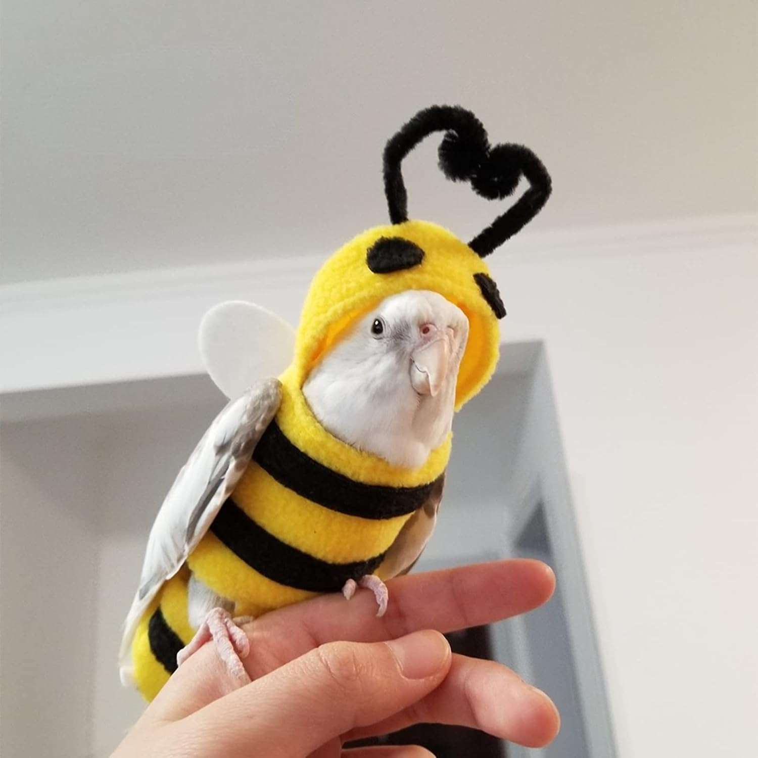 Bird Costume Diaper Flight Suit Bee Shape Hoodie Clothes Cosplay Photo Prop for Parrots Parakeet Cockatiel Sun Conure, Small Animals Apparel, Green - 4