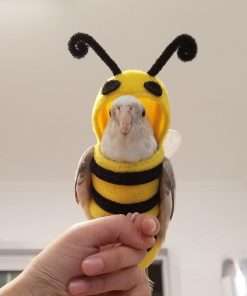Bird Costume Diaper Flight Suit Bee Shape Hoodie Clothes Cosplay Photo Prop for Parrots Parakeet Cockatiel Sun Conure, Small Animals Apparel, Green - 5