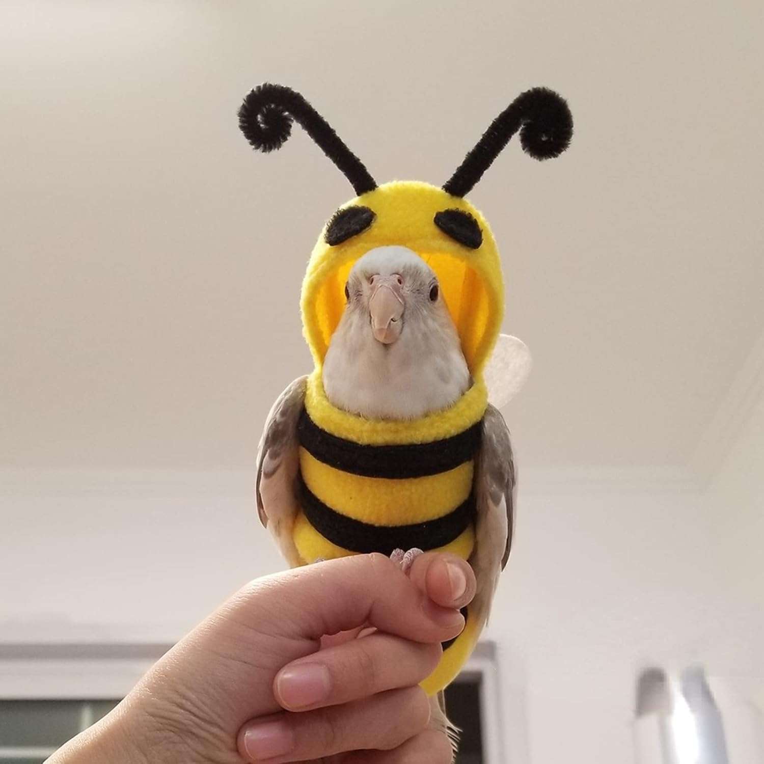 Bird Costume Diaper Flight Suit Bee Shape Hoodie Clothes Cosplay Photo Prop for Parrots Parakeet Cockatiel Sun Conure, Small Animals Apparel, Green - 5
