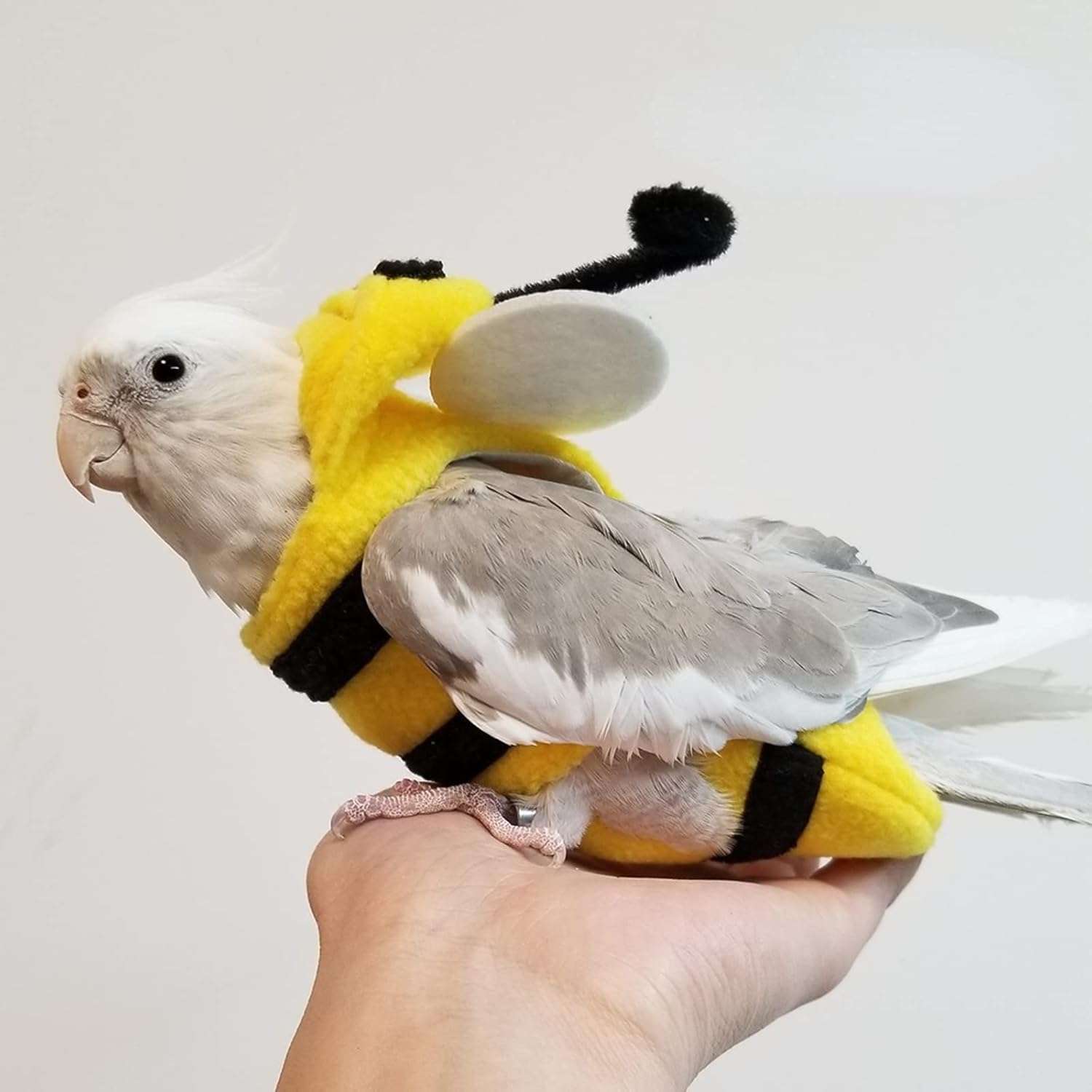Bird Costume Diaper Flight Suit Bee Shape Hoodie Clothes Cosplay Photo Prop for Parrots Parakeet Cockatiel Sun Conure, Small Animals Apparel, Green - 6
