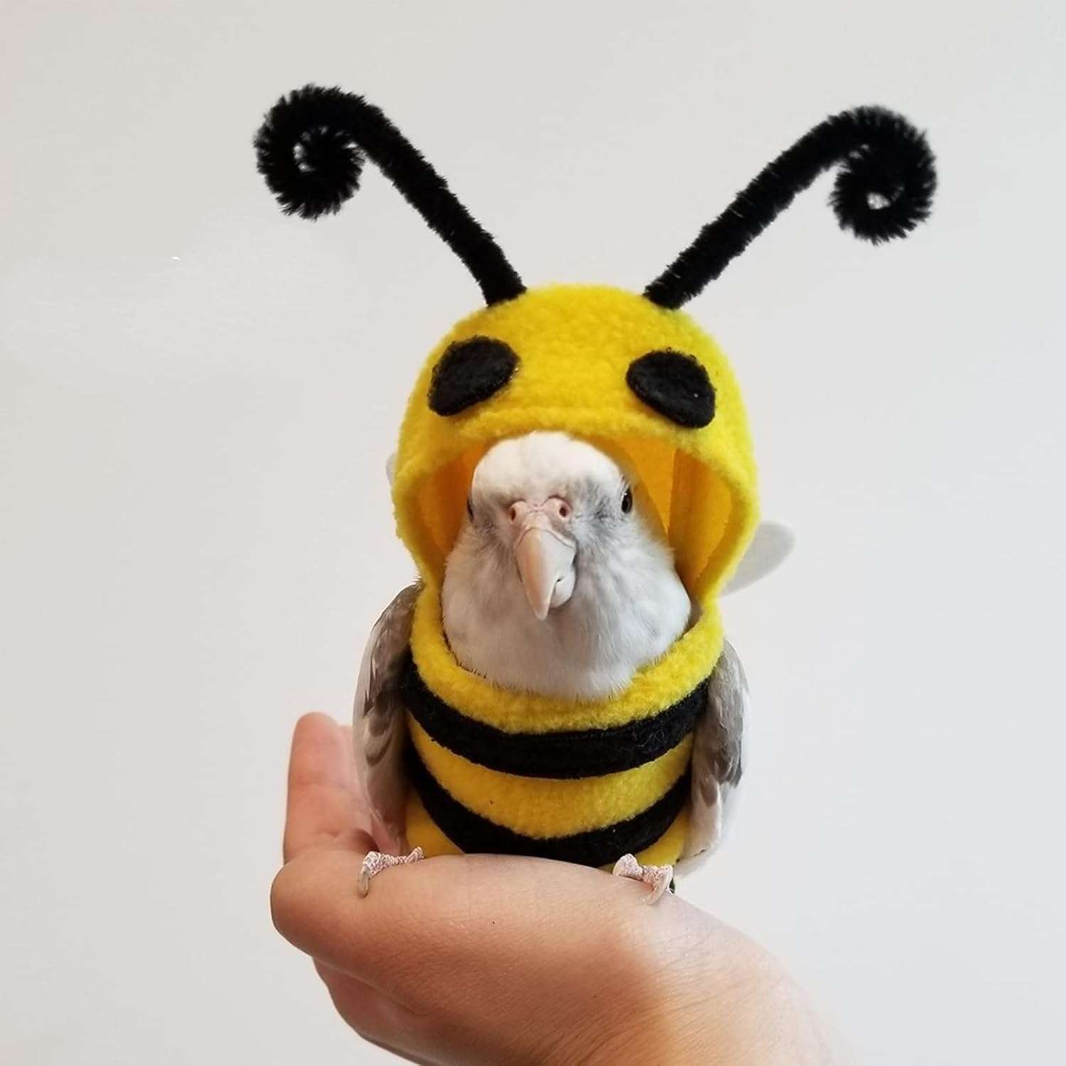 Bird Costume Diaper Flight Suit Bee Shape Hoodie Clothes Cosplay Photo Prop for Parrots Parakeet Cockatiel Sun Conure, Small Animals Apparel, Green - 7
