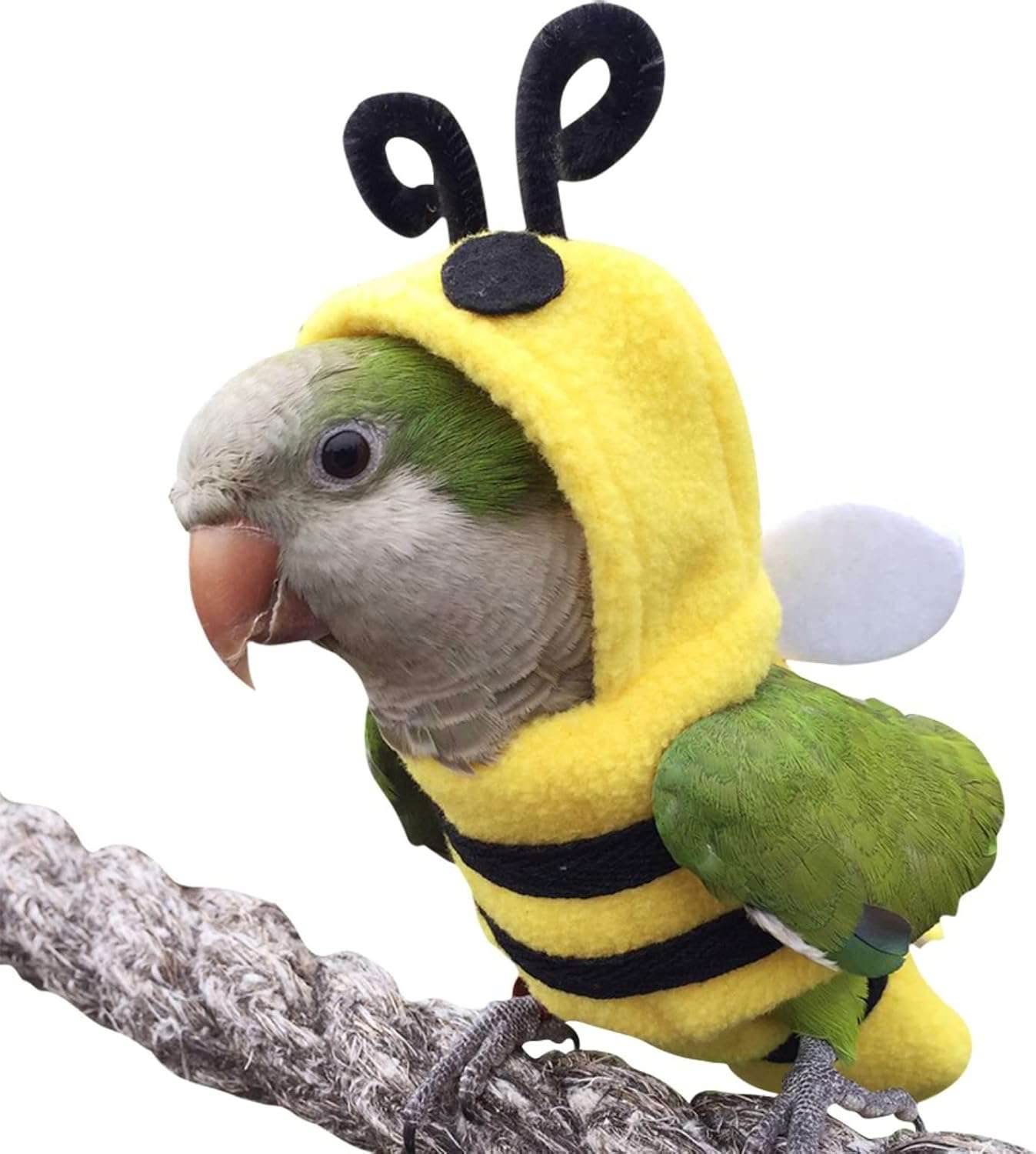 Bird Costume Diaper Flight Suit Bee Shape Hoodie Clothes Cosplay Photo Prop for Parrots Parakeet Cockatiel Sun Conure, Small Animals Apparel, Green - 8