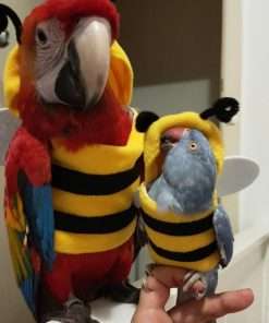 Buy Bee Costumes, Home