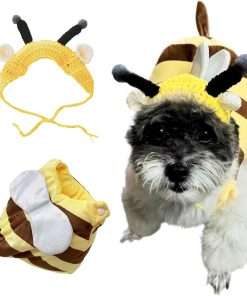 Buy Bee Costumes, Home