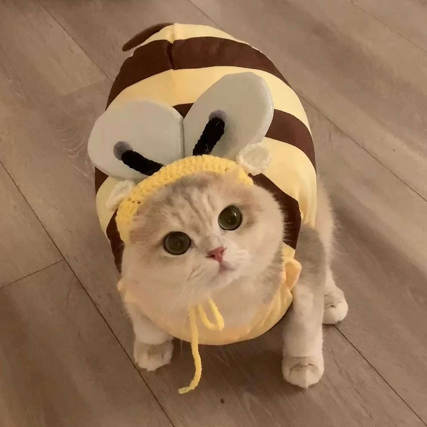 Cute Dog Costume Onesie Bumble Bee Pet Clothes Halloween Shirt Hoodie for Puppy Cat with Fun Wings & Surprise Antenna Hat - 5
