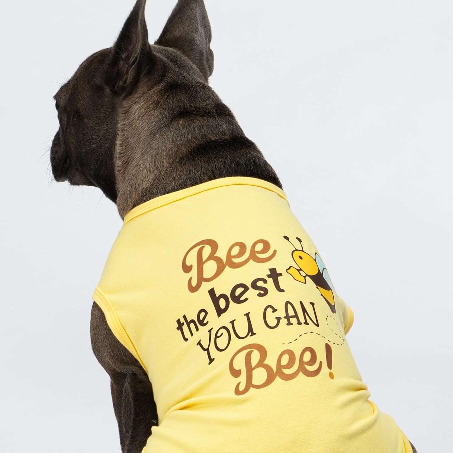 Fitwarm Bee The Best You Can Dog Shirt, Summer Clothes for Small Dogs Boy Girl, Funny Pet Outfit, Yellow, Brown, Blue, Small - 2