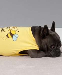 Fitwarm Bee The Best You Can Dog Shirt, Summer Clothes for Small Dogs Boy Girl, Funny Pet Outfit, Yellow, Brown, Blue, Small - 3