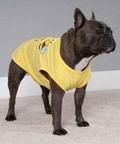 Fitwarm Bee The Best You Can Dog Shirt, Summer Clothes for Small Dogs Boy Girl, Funny Pet Outfit, Yellow, Brown, Blue, Small - 4