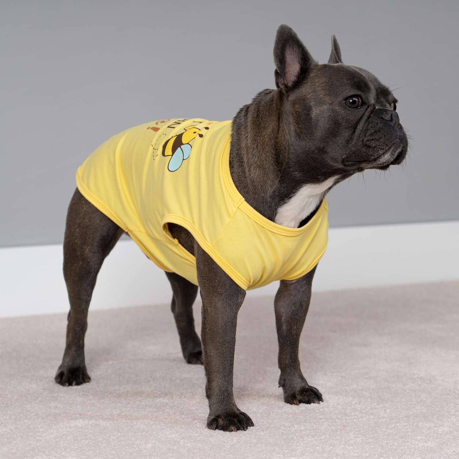 Fitwarm Bee The Best You Can Dog Shirt, Summer Clothes for Small Dogs Boy Girl, Funny Pet Outfit, Yellow, Brown, Blue, Small - 4