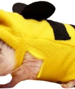 Buy Bee Costumes, Home