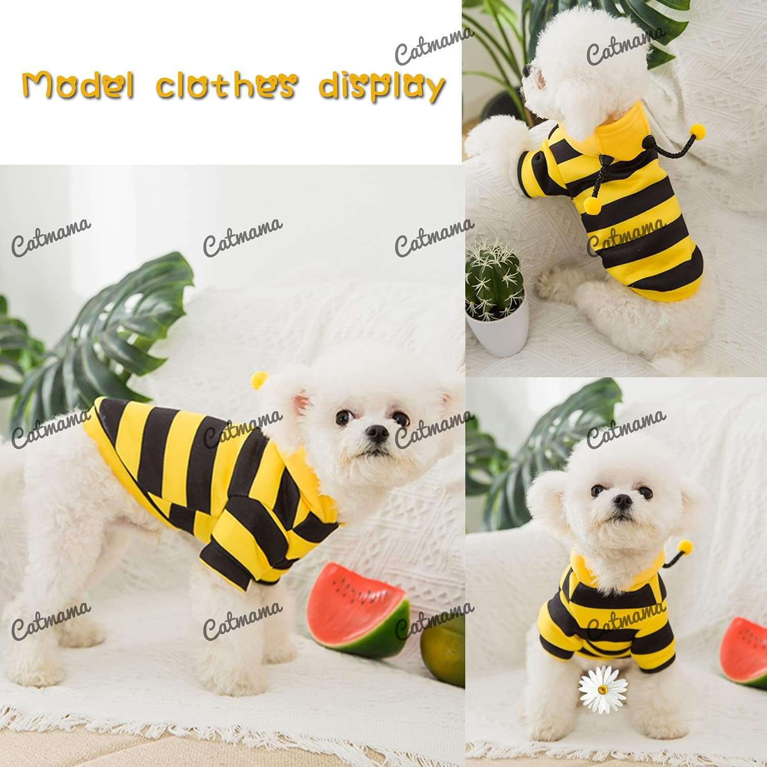 Pet Bee Costume Hooded for Small Dogs and Cats (Meddle) - 5