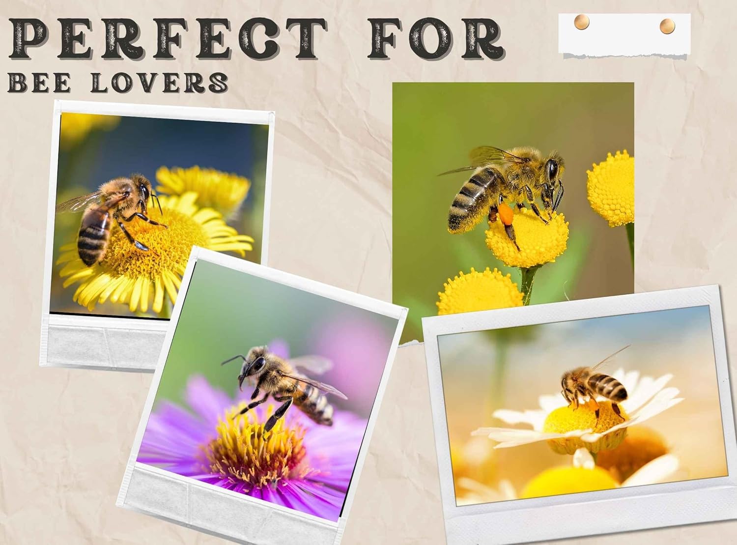 Bee Gifts Coaster, Ceramic, Set of 6, with Gift Box, Absorbent with Cork Base, Gifts for Bee Lovers, Home Decor for Housewarming, Thanksgiving, Birthday, Christmas - 7